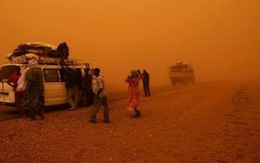 Băng qua sa mạc: 10 người chết khát, 50 người mất tích