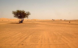 Đã thấy xác 87 người di cư chết khát ở sa mạc Sahara