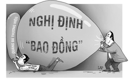 Nghị định ban hành cho có?