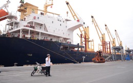 Vụ "mất tiền tỉ vì hàng bị giam ở cảng": Đẩy khó cho doanh nghiệp