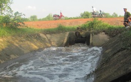 Điều tra công ty nạo vét đổ bùn xuống sông Đồng Nai