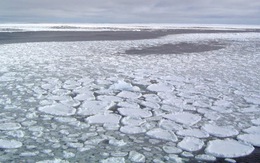 Canada tuyên bố chủ quyền Bắc Cực
