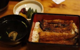 Hồi phục sức khỏe với lươn Nhật