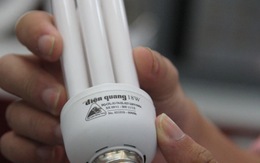 Dân nghèo được đổi miễn phí bóng đèn compact