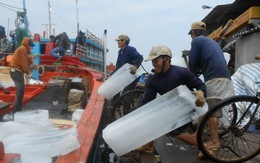 Lý Sơn: hàng trăm tàu cá của ngư dân vươn khơi bám biển