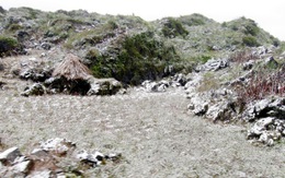 Tuyết lại rơi ở Sa Pa, phủ trắng cao nguyên đá Đồng Văn