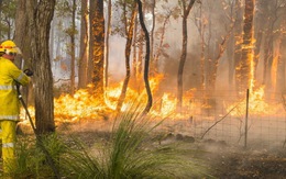 Úc 40-44 độ C, hỏa hoạn tiếp tục lan rộng