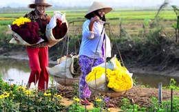 Sáng mùng 1 tết: Tặng ba nhành mai - Biếu má cành đào