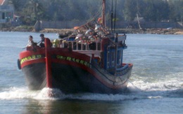 Ngư dân Quảng Ngãi ra khơi mấy tiếng, trúng đậm "lộc biển"
