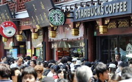 Starbucks tại Trung Quốc sử dụng hóa chất gây ung thư làm bánh