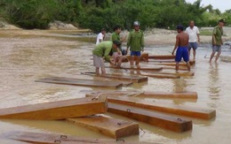 Thu giữ nhiều gỗ lậu trên Sông Cái