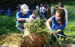 Hàng ngàn bạn trẻ chung sức vì văn minh đô thị