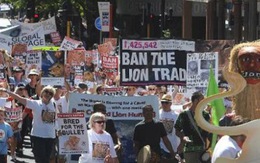 Nam Phi: tuần hành phản đối trò giải trí săn bắn sư tử