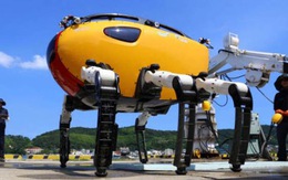Robot đi bộ dưới nước lớn nhất và lặn sâu nhất thế giới