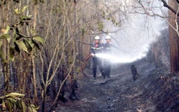 Dập tắt đám cháy rừng tràm ở Bình Chánh