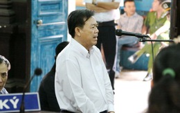 Tăng án nguyên chủ tịch UBND huyện Hóc Môn lên 20 năm tù