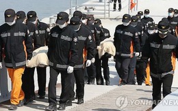 Số người chết trong vụ chìm phà ở Hàn Quốc tăng lên 58