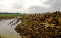 Bình Định: Nguy cơ ngập úng lúa do công trình thi công Quốc lộ 19 mới
