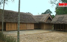Phục dựng nhà các hộ láng giềng Cụ Nguyễn Sinh Sắc