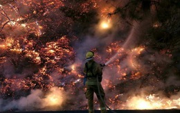 Cháy rừng tại California, hàng chục ngàn người tháo chạy