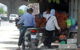 Trái cây Hà Nội vào mùa... rớt giá