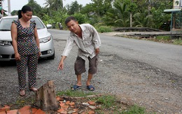 Ra tòa vì cái gốc cây