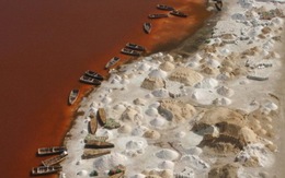 "Biển chết" ở Senegal