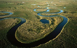 Vẻ đẹp thế giới hoang dã tại đồng bằng Okavango