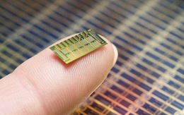 Bill Gates hỗ trợ phát minh chip tránh thai