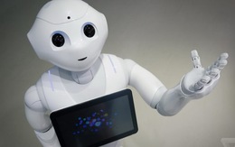 Thú vị phỏng vấn của PV với robot thế hệ mới Nhật Bản