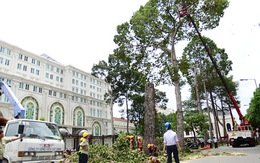 Nhà ga metro ngầm ở TP.HCM sẽ như thế nào?