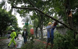 56 người chết do bão Rammasun, Trung Quốc căng mình đón bão mới