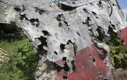 MH17 có thể trúng đạn từ máy bay chiến đấu Ukraine?