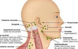 Có hạch dưới hàm nên nội soi vùng mũi họng