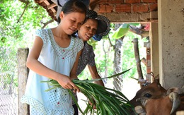 Con đậu thủ khoa, mẹ bán bò đóng học phí