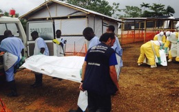 Xác định nạn nhân đầu tiên của đại dịch Ebola
