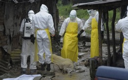 17 bệnh nhân Ebola ở Liberia bỏ trốn