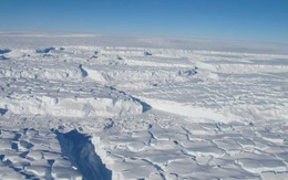 Vi khuẩn sinh sôi 800m dưới bề mặt băng Nam cực