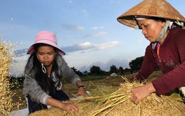 Những chồng báo lo con, lo cháu