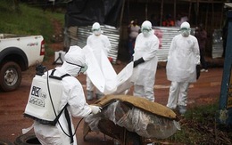 Nhiều nước trên thế giới tăng cường chống dịch Ebola