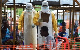 Nguy cơ thiếu lương thực tại các nước bị dịch Ebola