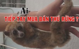 ​Ai tiếp tay mua bán thú rừng?