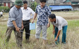 622 hộ dân xã Xuân Quang đã được bàn giao đất