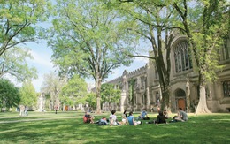 Đại học Princeton dẫn đầu bảng xếp hạng US News