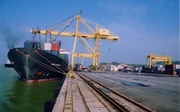Hàng container qua cảng Đà Nẵng tăng hơn 40%