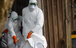 ​Quỹ Gates hỗ trợ 50 triệu USD chống dịch Ebola