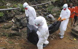 Sợ nguy cơ Ebola lây lan qua không khí