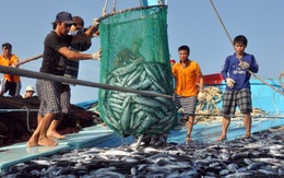 Khánh Hòa đóng đội “tàu mẹ, tàu con” bằng vật liệu mới