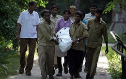 Sinh viên Ấn Độ bị hổ trong vườn thú cắn chết dã man