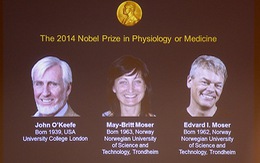 Nobel Y Sinh 2014: khám phá hệ thống định vị trong não